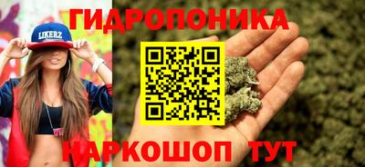 прущие грибы Рязань