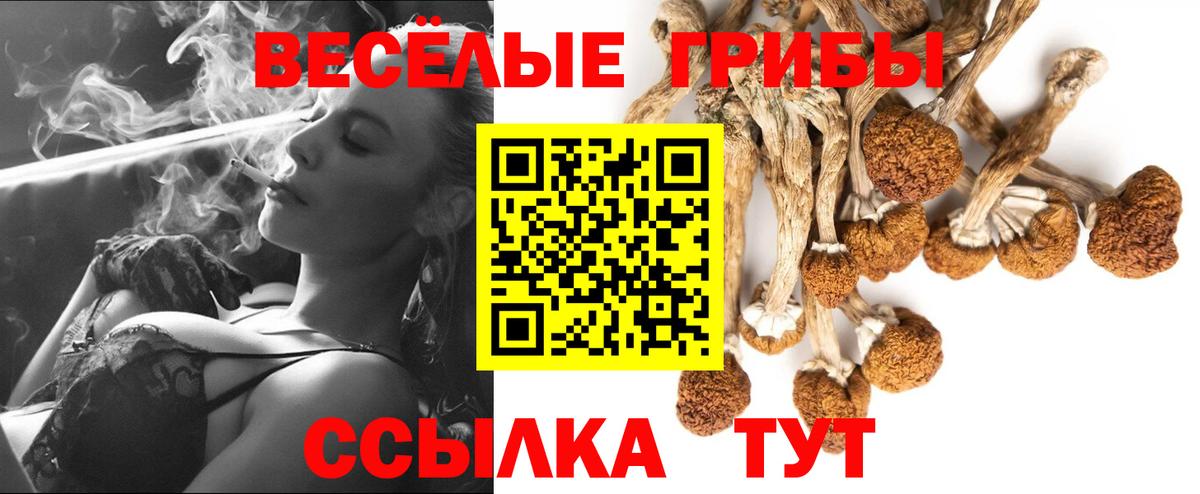 Псилоцибиновые грибы Psilocybe  Вход с VPN  Пыть-Ях  Псилоцибиновые грибы Psilocybe 
